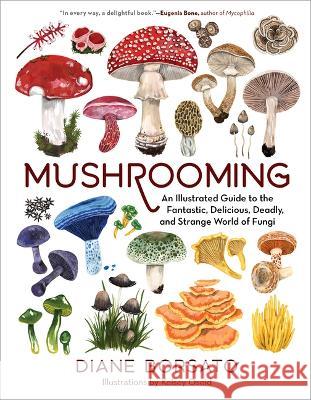 Mushrooming: An Illustrated Guide to the Fantastic, Delicious, Deadly, and Strange World of Fungi Diane Borsato Kelsey Oseid 9781615199587 Experiment