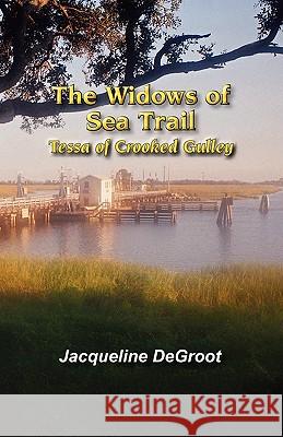 The Widows of Sea Trail-Tessa of Crooked Gulley Jacqueline DeGroot 9781615397716 October Publishing Services
