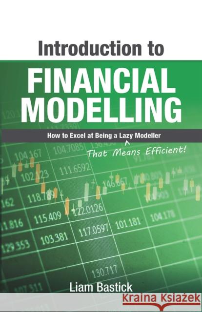 Introduction to Financial Modelling: How to Excel at Being a Lazy (That Means Efficient!) Modeller Liam Bastick 9781615470662 Holy Macro! Books