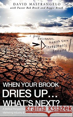 When Your Brook Dries Up...What's Next? David Mastrangelo, Pastor Bob Brock, Reggie Brock 9781615790012