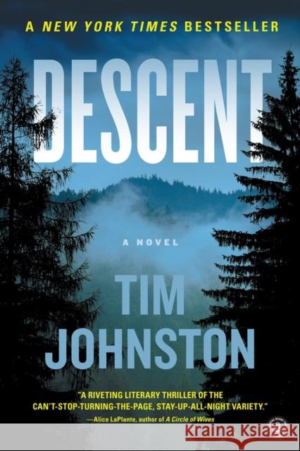 Descent Tim Johnston 9781616204778 Algonquin Books of Chapel Hill