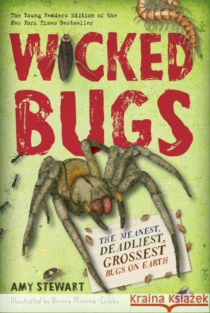Wicked Bugs (Young Readers Edition): The Meanest, Deadliest, Grossest Bugs on Earth Amy Stewart Briony Morrow-Cribbs 9781616206994 Algonquin Young Readers