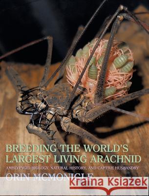 Breeding the World's Largest Living Arachnid: Amblypygid (Whipspider) Biology, Natural History, and Captive Husbandry Orin McMonigle 9781616461836 Coachwhip Publications