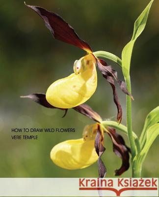 How to Draw Wild Flowers (Replica Edition) Vere Temple 9781616461966 Coachwhip Publications