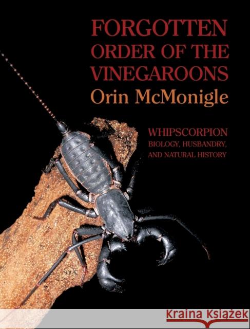 Forgotten Order of the Vinegaroons: Whipscorpion Biology, Husbandry, and Natural History Orin McMonigle   9781616462208 Coachwhip Publications