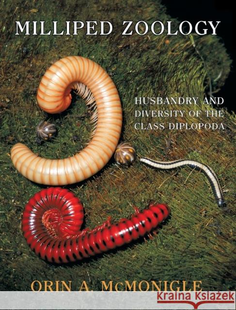 Milliped Zoology: Husbandry and Diversity of the Class Diplopoda Orin A McMonigle   9781616465506