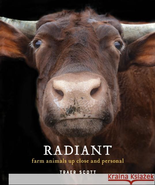 Radiant: Farm Animals Up Close and Personal (Farm Animal Photography Book) Scott, Traer 9781616897154 Princeton Architectural Press