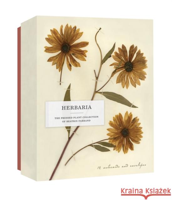Herbaria: The Pressed Plant Collection of Beatrix Farrand: 12 Notecards and Envelopes Princeton Architectural Press 9781616899066