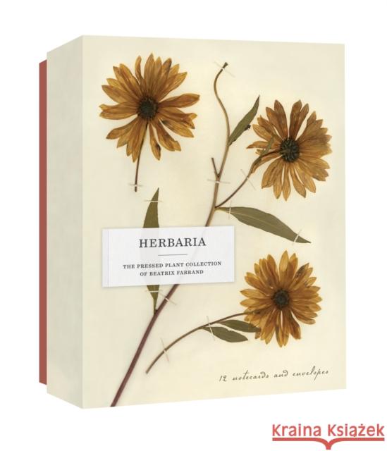 Herbaria: The Pressed Plant Collection of Beatrix Farrand: 12 Notecards and Envelopes Princeton Architectural Press 9781616899066 Princeton Architectural Press