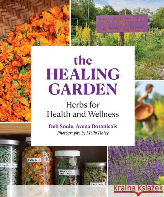 The Healing Garden: Herbs for Health and Wellness Deb Soule 9781616899264 Princeton Architectural Press