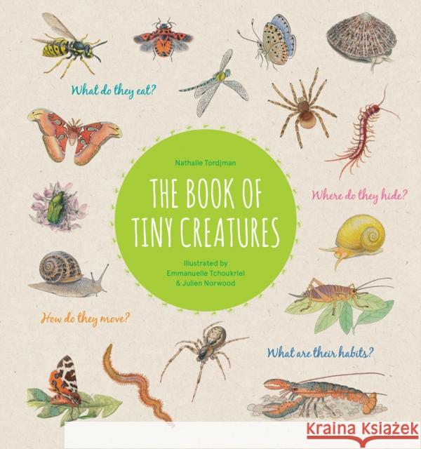 The Book of Tiny Creatures Nathalie Tordjman 9781616899745