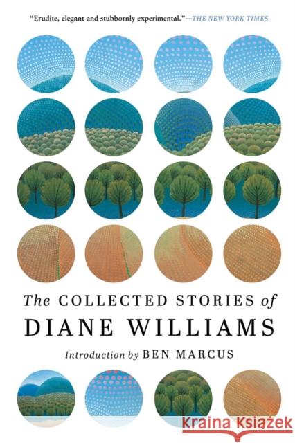 The Collected Stories of Diane Williams Diane Williams Ben Marcus 9781616959852 Soho Press