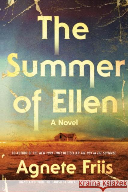 The Summer Of Ellen Agnete Friis 9781616959951 Soho Press Inc