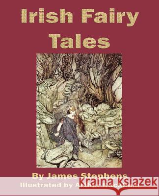 Irish Fairy Tales James Stephens Arthur Rachkam 9781617204395 Flying Chipmunk Publishing