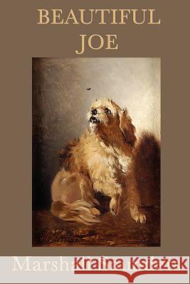 Beautiful Joe Marshall Saunders   9781617204708 Wilder Publications, Limited