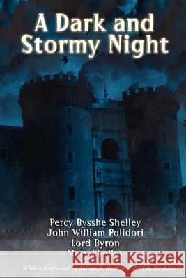 A Dark and Stormy Night  9781617209079 Wilder Publications, Limited