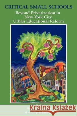 Critical Small Schools: Beyond Privatization in New York City Urban Educational Reform Hantzopoulos, Maria 9781617356834 Information Age Publishing