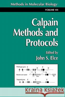 Calpain Methods and Protocols John S. Elce 9781617371059 Springer