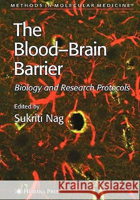 Blood'brain Barrier: Biology and Research Protocols Nag, Sukriti 9781617373398 Springer