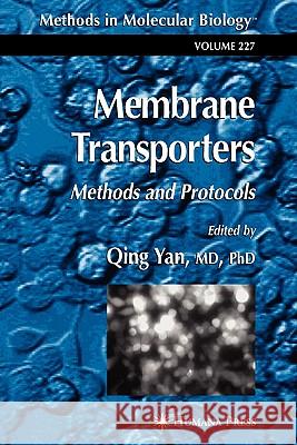 Membrane Transporters: Methods and Protocols Yan, Qing 9781617373596 Springer