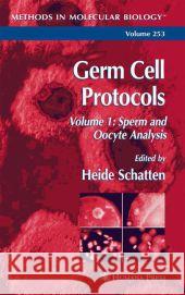 Germ Cell Protocols: Volume 1: Sperm and Oocyte Analysis Schatten, Heide 9781617373749 Springer