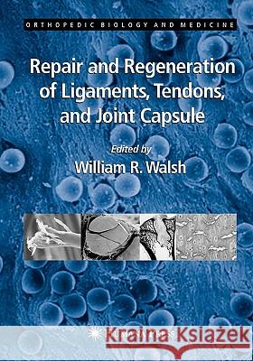 Repair and Regeneration of Ligaments, Tendons, and Joint Capsule William R. Walsh 9781617374036 Springer