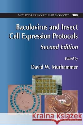 Baculovirus and Insect Cell Expression Protocols David W. Murhammer 9781617376290 Springer