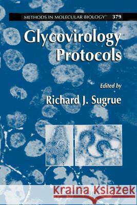 Glycovirology Protocols Richard J. Sugrue 9781617376641 Springer