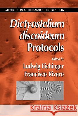 Dictyostelium Discoideum Protocols Eichinger, Ludwig 9781617376771