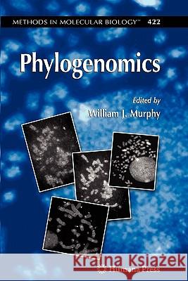 Phylogenomics William J. Murphy 9781617377648 Springer