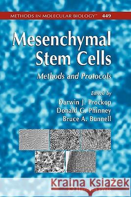 Mesenchymal Stem Cells: Methods and Protocols Prockop, Darwin J. 9781617377679 Springer