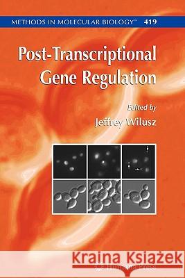 Post-Transcriptional Gene Regulation Jeffrey Wilusz 9781617377761 Springer