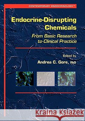 Endocrine-Disrupting Chemicals: From Basic Research to Clinical Practice Gore, Andrea C. 9781617377952 Springer