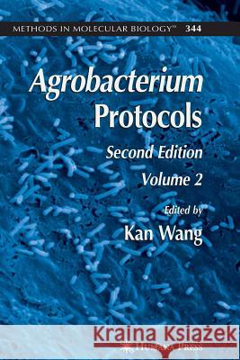 Agrobacterium Protocols: Volume II Wang, Kan 9781617378034 Springer