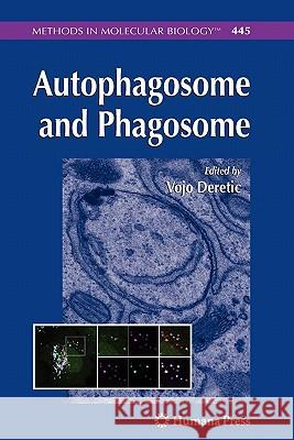 Autophagosome and Phagosome Vojo Deretic 9781617378065