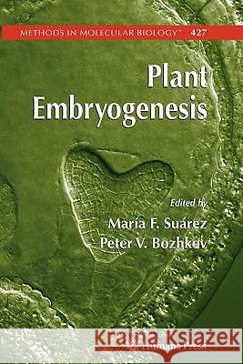 Plant Embryogenesis Maria Fernanda Suarez Peter V. Bozhkov 9781617378485 Springer