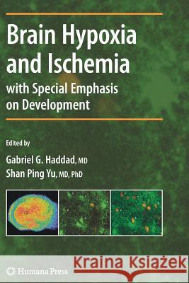 Brain Hypoxia and Ischemia Gabriel G. Haddad Shan Ping Yu 9781617379147 Springer