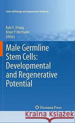Male Germline Stem Cells: Developmental and Regenerative Potential Kyle E. Orwig Brian P. Hermann 9781617379727 Humana Press