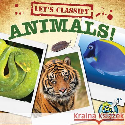 Let's Classify Animals! Kelli Hicks Kristi Lew 9781617419577 Rourke Publishing