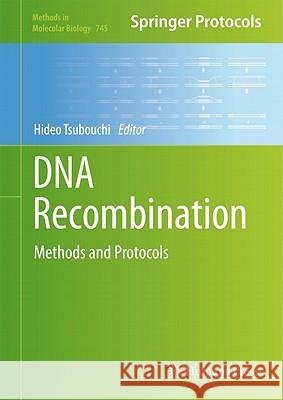 DNA Recombination: Methods and Protocols Tsubouchi, Hideo 9781617791284 Springer