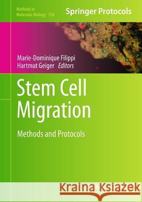 Stem Cell Migration: Methods and Protocols Filippi, Marie-Dominique 9781617791444 Not Avail