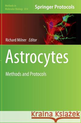 Astrocytes: Methods and Protocols Milner, Richard 9781617794513