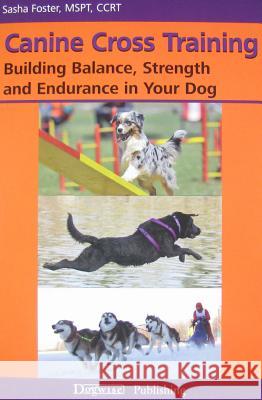 Canine Cross Training: Building Balance, Strength and Endurance in Your Dog Sasha Foster 9781617811135 Dogwise Publishing