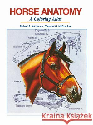 Horse Anatomy: A Coloring Atlas Robert A. Kainer Thomas O. McCracken 9781617812408