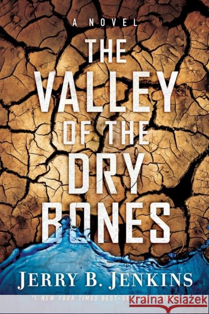 The Valley of Dry Bones Jenkins, Jerry B. 9781617950087