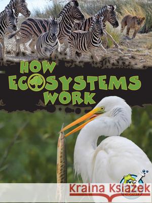 How Ecosystems Work Julie K. Lundgren 9781618102201 Rourke Educational Media