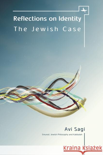 Reflections on Identity: The Jewish Case Avi Sagi Batya Stein 9781618115348 Academic Studies Press