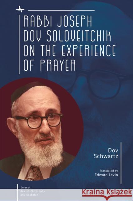 Rabbi Joseph Dov Soloveitchik on the Experience of Prayer Dov Schwartz Edward Levin 9781618117182