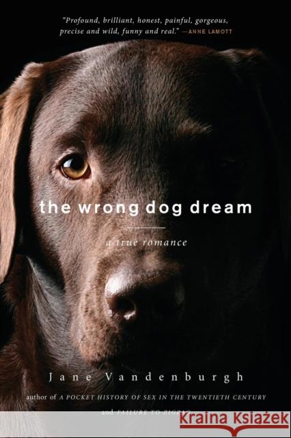 The Wrong Dog Dream: A True Romance Vandenburgh, Jane 9781619023178 Counterpoint LLC