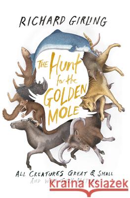The Hunt for the Golden Mole: All Creatures Great & Small and Why They Matter Richard Girling 9781619025851 Counterpoint LLC